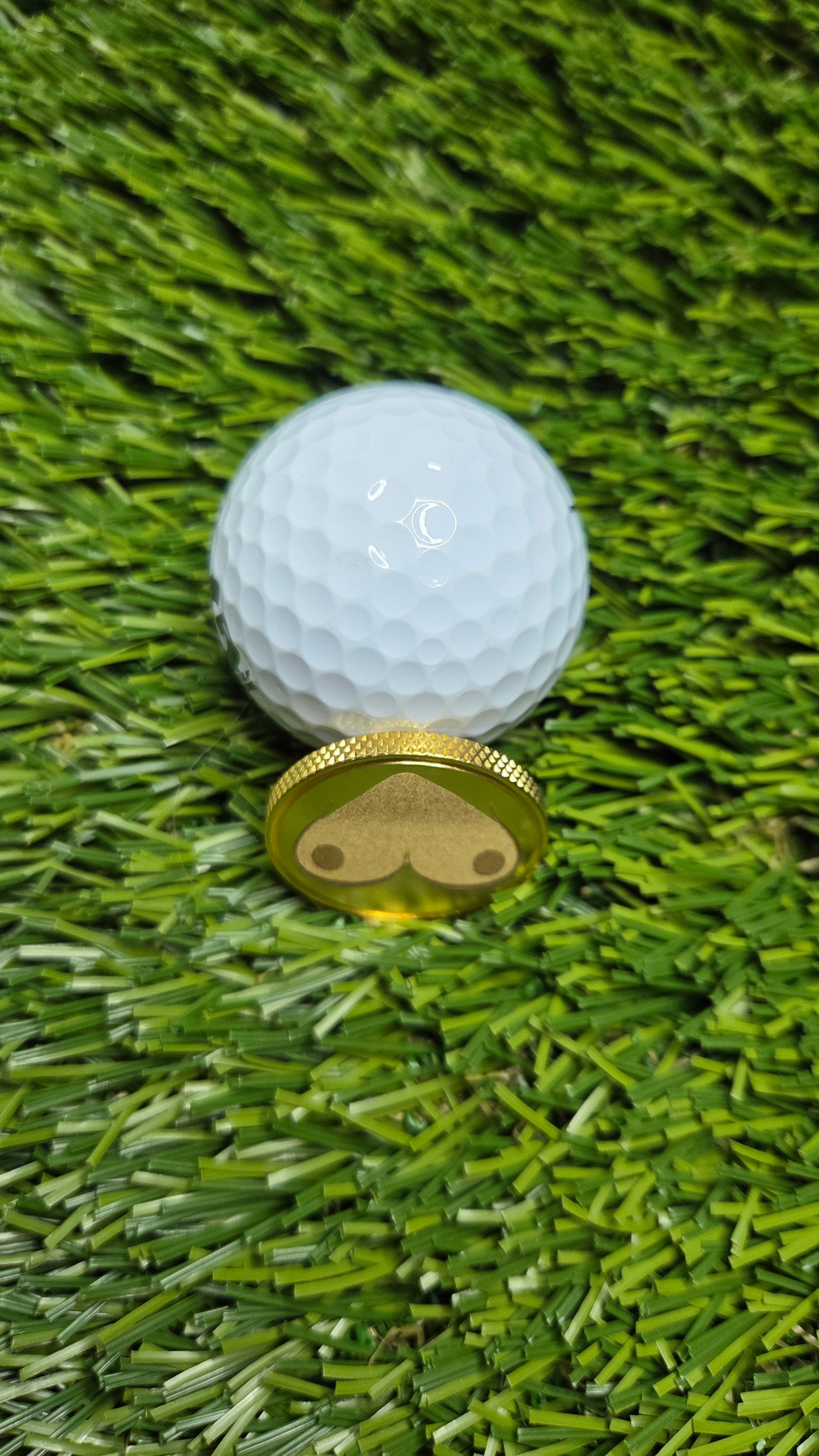 Brass Booby Marker