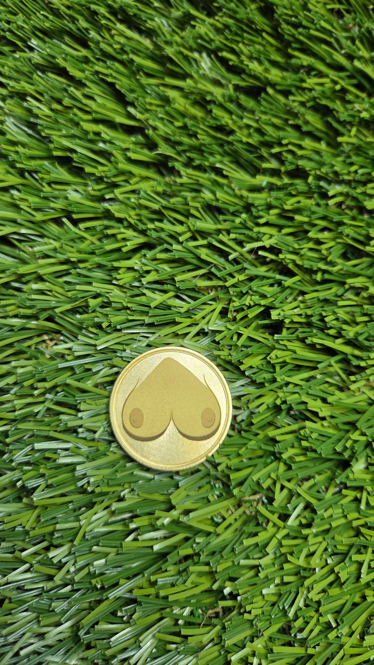 Brass Booby Marker