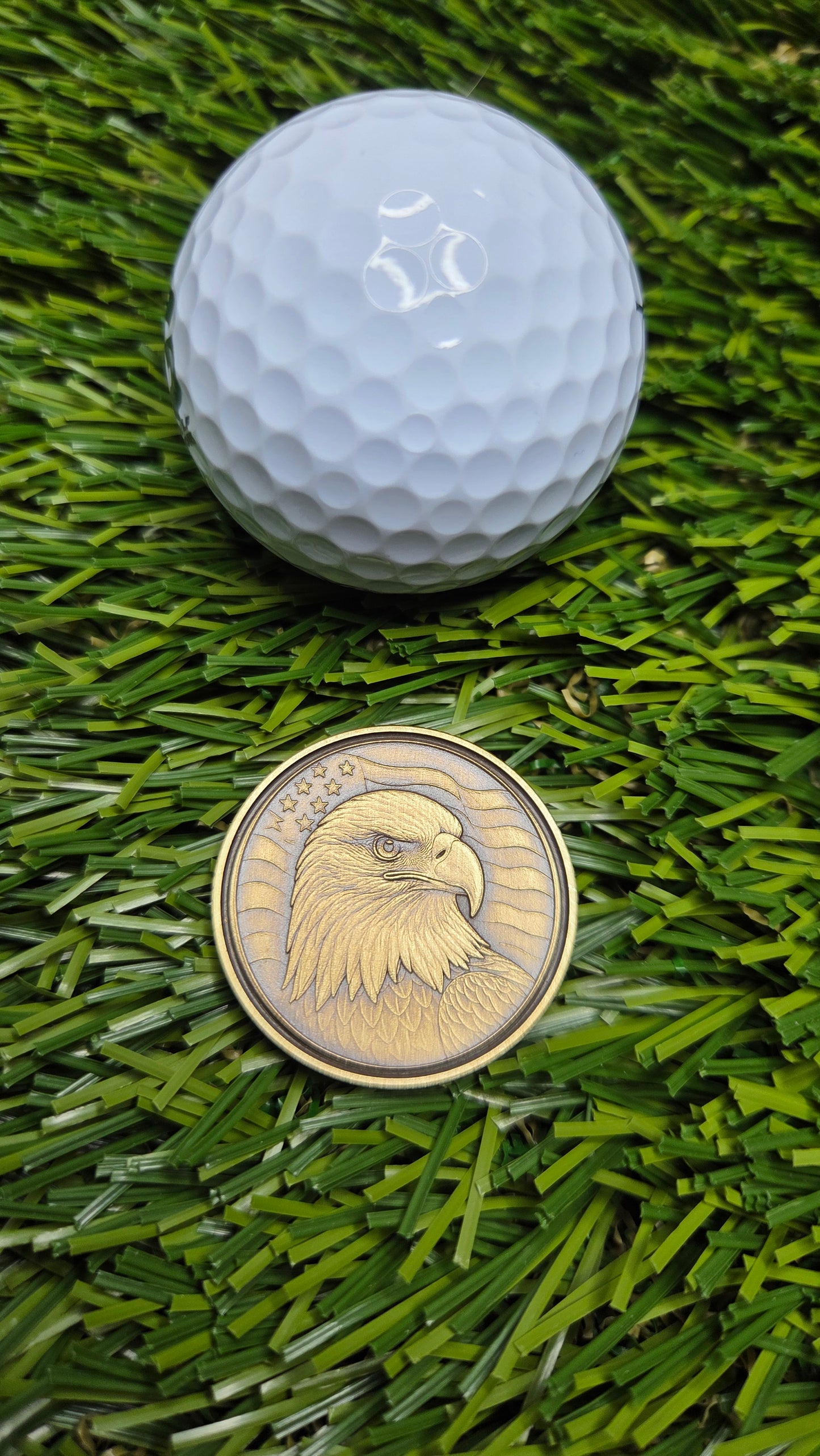 American Bald Eagle