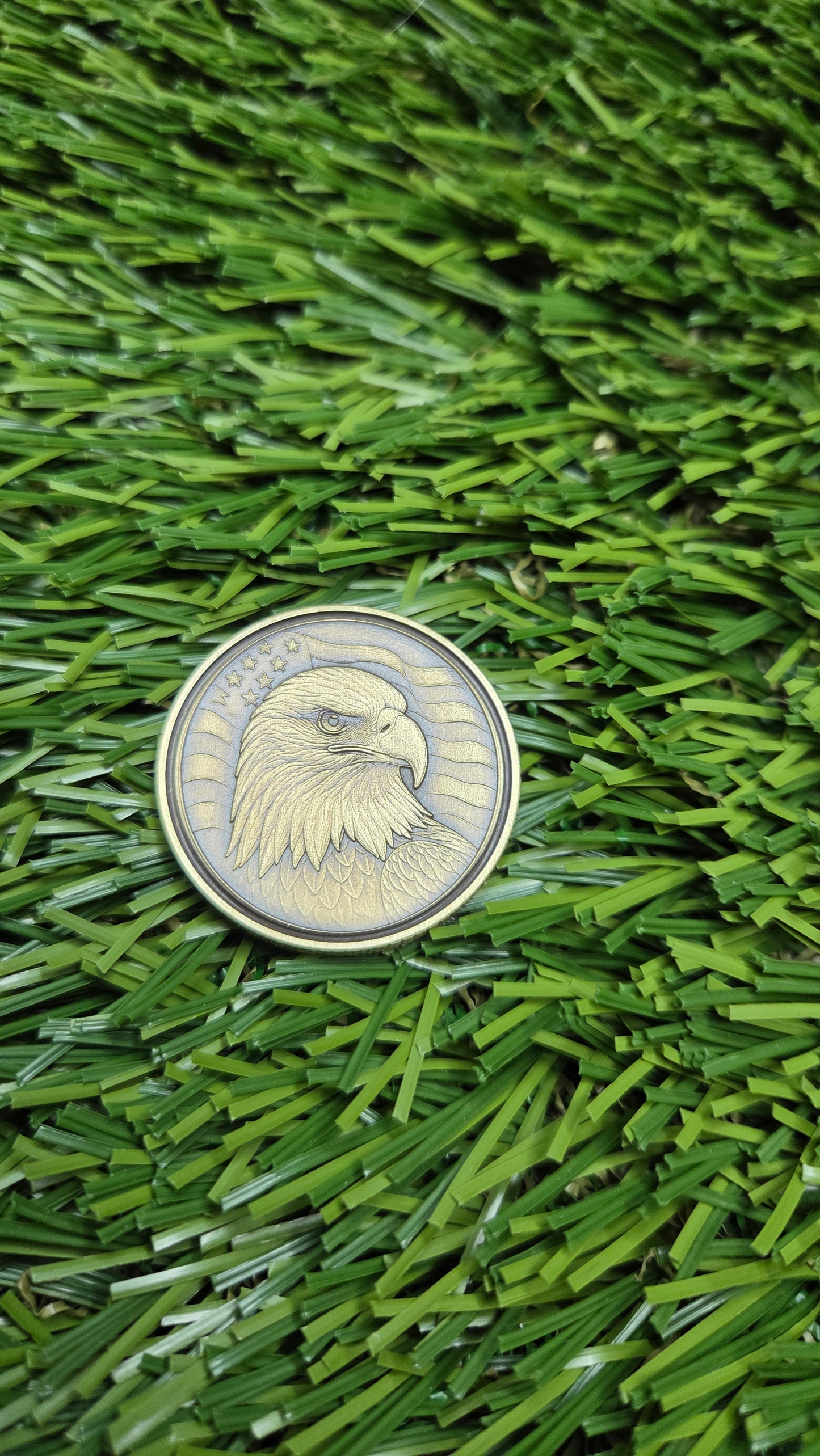 American Bald Eagle